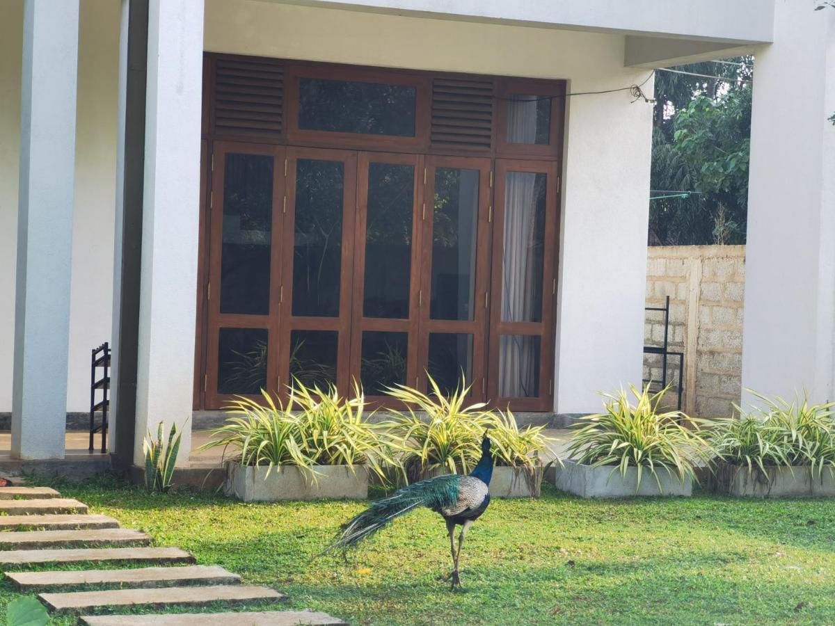 Ruwinsons Canal Garden Anuradhapura Dış mekan fotoğraf