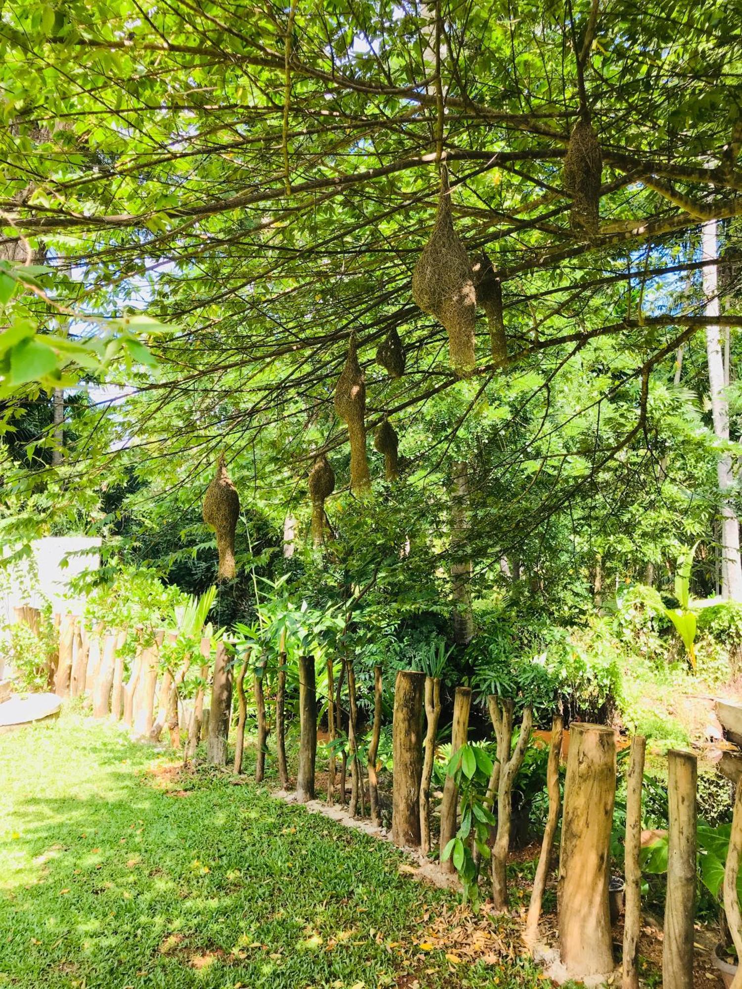 Ruwinsons Canal Garden Anuradhapura Dış mekan fotoğraf